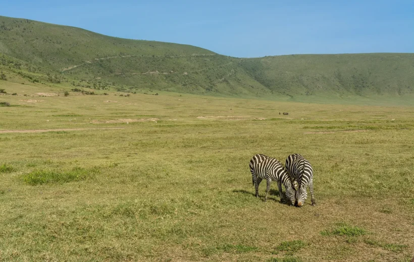 3 Days Northern Safari Featuring Lake Manyara and Ngorongoro Crater