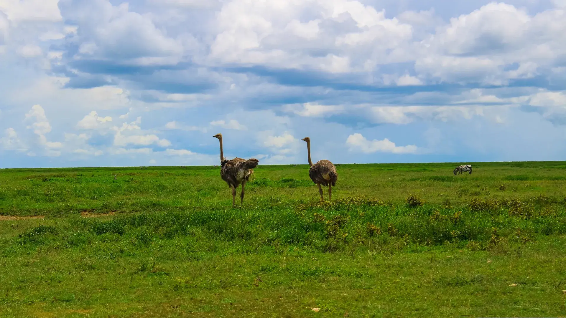 Serengeti National Park