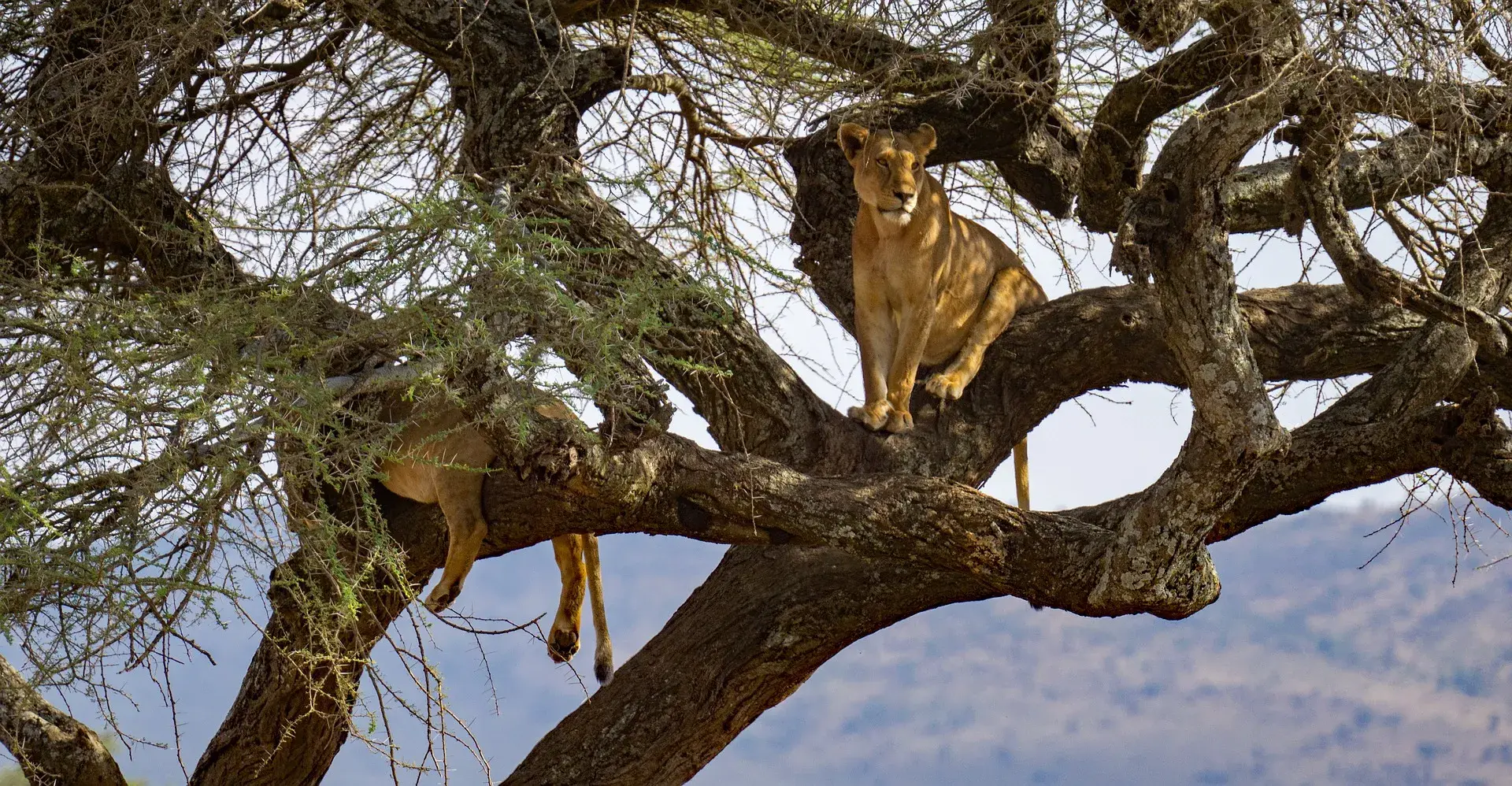 Lake Manyara National Park